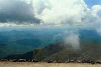 24.jpg (36256 bytes)