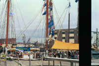 Index29.jpg (67744 bytes)