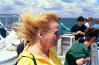 Index38.jpg (51095 bytes)