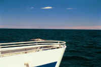 Index39.jpg (37016 bytes)