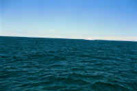 Index40.jpg (44242 bytes)