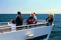 Index42.jpg (45455 bytes)