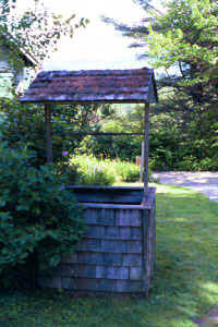 a10.jpg (50858 bytes)