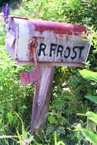 a11.jpg (59449 bytes)