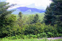 a17.jpg (88609 bytes)