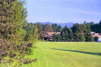 a19.jpg (71868 bytes)