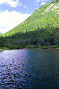 a3.jpg (47820 bytes)