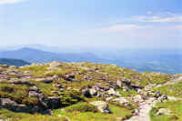 b7.jpg (62967 bytes)