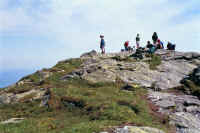 b8.jpg (63243 bytes)