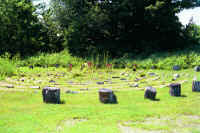 b9.jpg (86336 bytes)