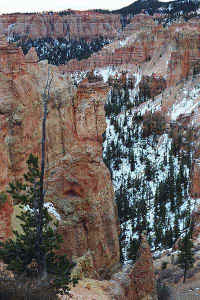 h13.jpg (72700 bytes)