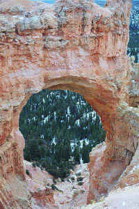 h14.jpg (67391 bytes)