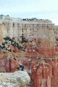 h16.jpg (42965 bytes)