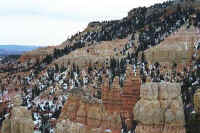 h25.jpg (60022 bytes)