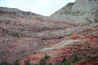 i14.jpg (55136 bytes)