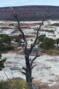 k05.jpg (57054 bytes)