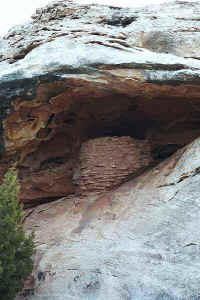 l21.jpg (44024 bytes)