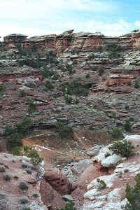 m02.jpg (61066 bytes)