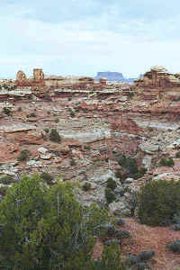 m03.jpg (50463 bytes)
